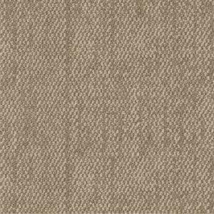 3145 Carpet