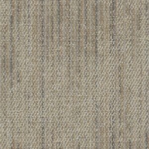 3147 Carpet