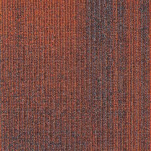 SHD Carpet