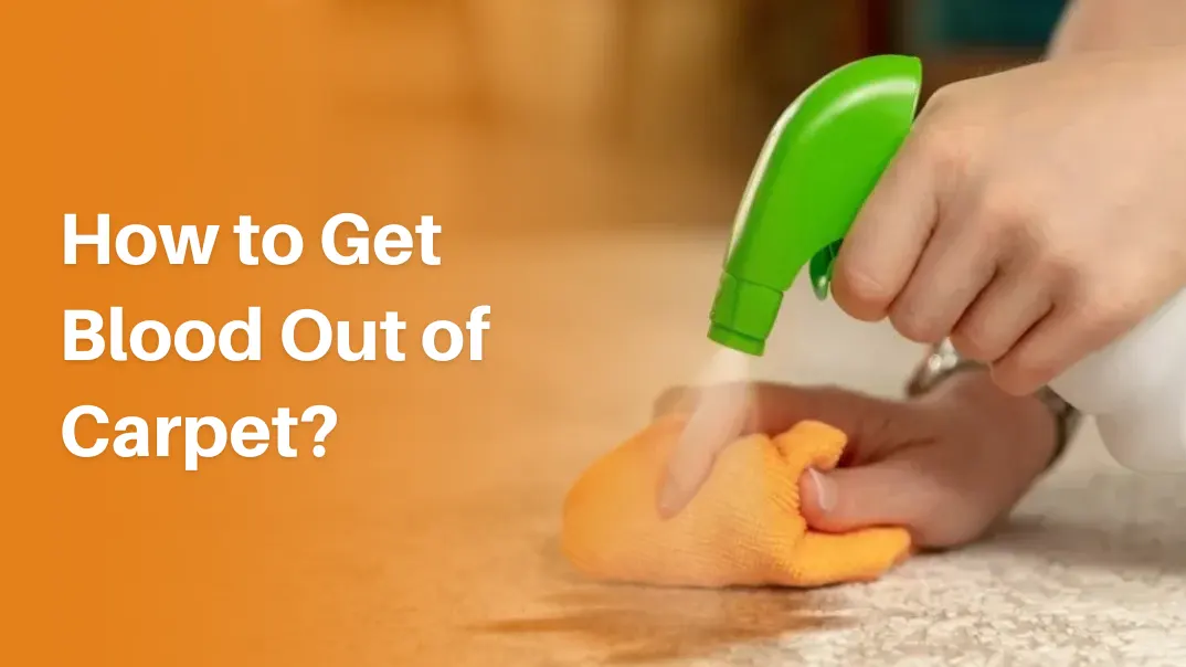 How to Get Blood Out of Carpet?