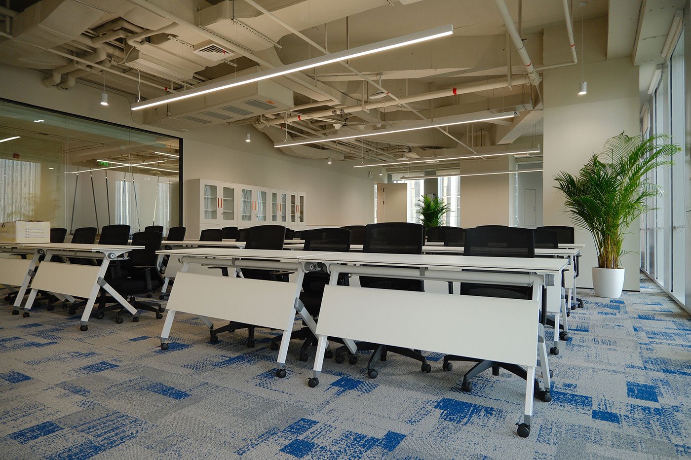 Google Regional Office-USA