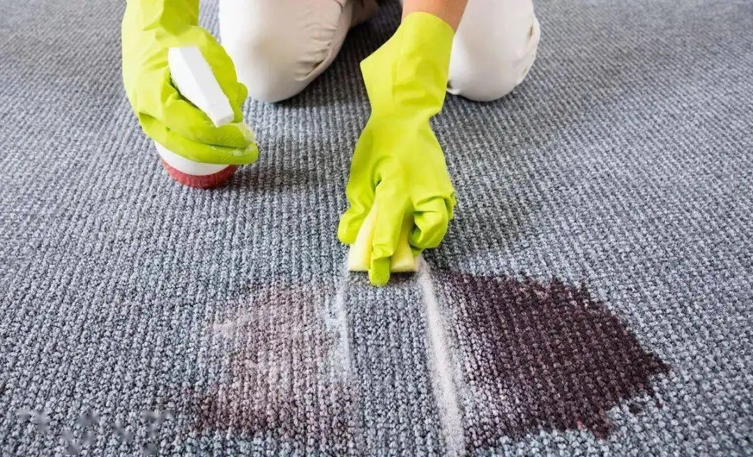Treat Spills and Stains Immediately